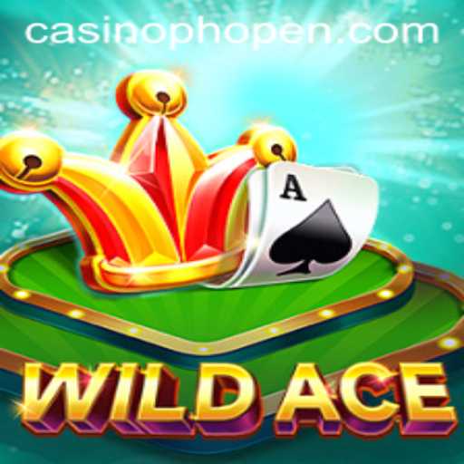 Unveiling WildAce: A New Era in Interactive Gaming
